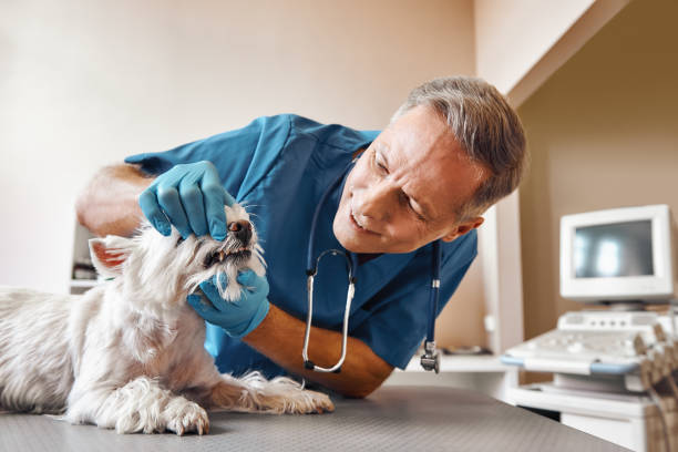 Best After-Hours Emergency Dentist in , KY